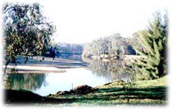 Corowa Golf Club Motel - Darwin Tourism 0