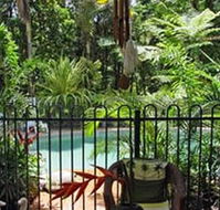 Daintree Rainforest Retreat Motel - Darwin Tourism