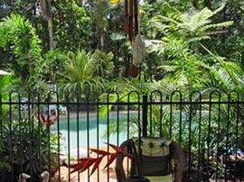 Daintree Rainforest Retreat Motel - Darwin Tourism 0