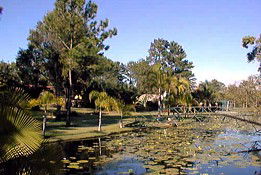 Gympie QLD Darwin Tourism