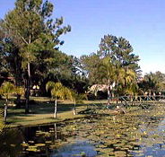 Twin Lakes Hotel - Darwin Tourism