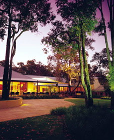 Wilyabrup WA Darwin Tourism
