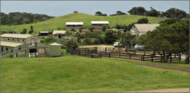 Ace Hi Riding Ranch - Darwin Tourism 0