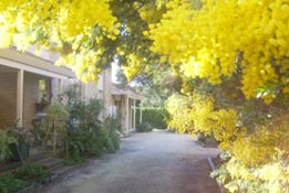 Surfcoast Retreat - Darwin Tourism 0