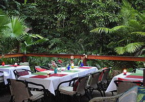 Daintree Rainforest Retreat Motel - Darwin Tourism 1