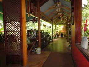 Daintree Rainforest Retreat Motel - Darwin Tourism 2