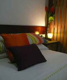Daintree Rainforest Retreat Motel - Darwin Tourism 3