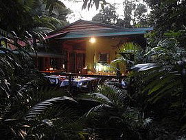 Daintree Rainforest Retreat Motel - Darwin Tourism 4
