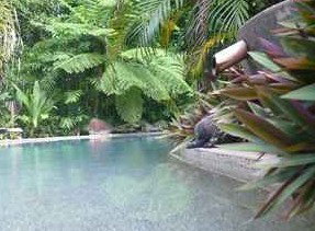 Daintree Rainforest Retreat Motel - Darwin Tourism 5