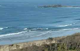 Sawtell NSW Darwin Tourism