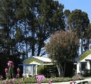 King Island Accommodation Cottages - Darwin Tourism 1
