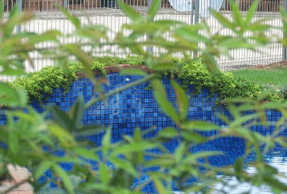 Arcadia Motor Inn - Darwin Tourism 4