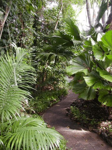 Rainforest Grove Holiday Resort - Darwin Tourism 1