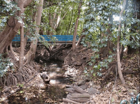 Rainforest Grove Holiday Resort - Darwin Tourism 3