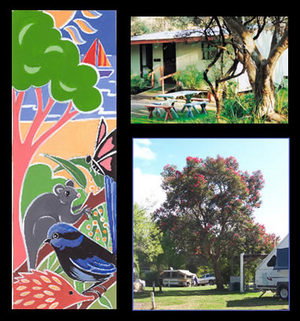 Bushland Cabins - Darwin Tourism 0