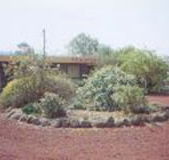 Beaufort Motel - Darwin Tourism