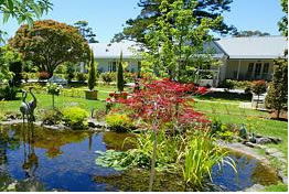 Cowes VIC Darwin Tourism
