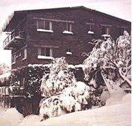 Elk at Falls - Darwin Tourism