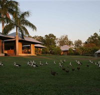 Feathers Sanctuary - Darwin Tourism