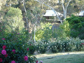 Watervale SA Darwin Tourism