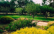 Naracoorte Cottages - Pinkerton Hill - Darwin Tourism 2