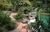 Galvins Edge Hill Bed And Breakfast - Darwin Tourism 5