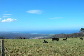 St Marys Seaview Farm - Darwin Tourism 0