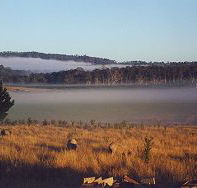Fonthill - Darwin Tourism