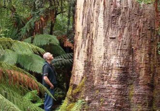 Fingal Hotel - Darwin Tourism 5