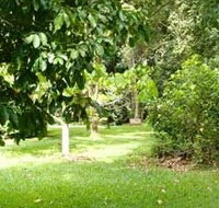 Kingfisher Park Birdwatchers Lodge - Darwin Tourism
