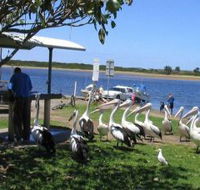 Mountain View Caravan and Mobile Home Village - Darwin Tourism