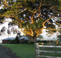 Arley Farm The Old Dairy - Darwin Tourism