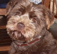 Lagoon Pocket Bed and Breakfast - Darwin Tourism