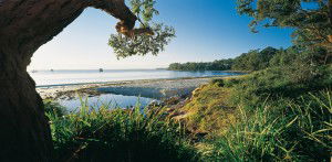 Dolphin Shores Motor Inn - Darwin Tourism 2