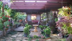 Blossoms Bed And Breakfast - Darwin Tourism 0