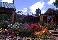 Blossoms Bed And Breakfast - Darwin Tourism 2