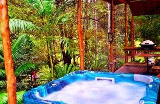 A Waterfall Hideout-Rainforest Cabin For Couples - Darwin Tourism 5