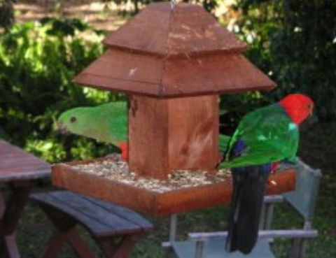 Chauvel Park B And B - Darwin Tourism 2