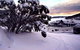 Kosciuszko Chalet Hotel - thumb 0