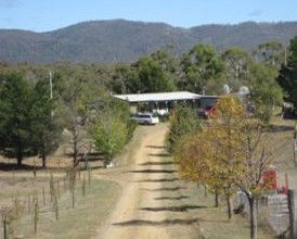 Snowy Vineyard Cottage - Darwin Tourism 2