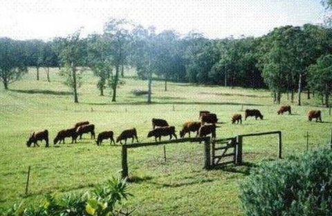 Bella Vista Cottage - Darwin Tourism 1