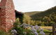 Cedar Creek Vineyard Cottages - thumb 1