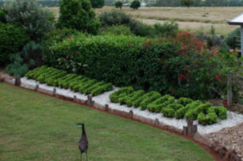 Mulanah Gardens Bed And Breakfast Cottages - Darwin Tourism 5