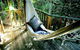 Narrows Escape Rainforest Retreat - thumb 0