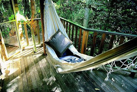 Narrows Escape Rainforest Retreat - Darwin Tourism 0