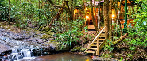 The Mouses House - Rainforest Retreat - Darwin Tourism 0