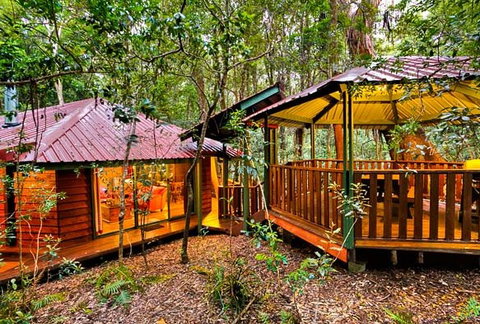 The Mouses House - Rainforest Retreat - Darwin Tourism 4