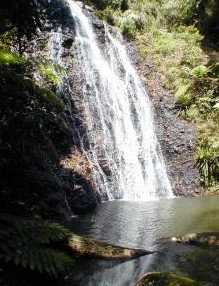Beechmont QLD Darwin Tourism