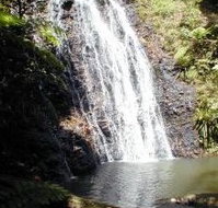 Binna Burra Mountain Lodge - Darwin Tourism