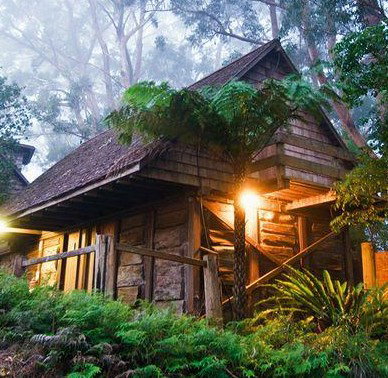Binna Burra Mountain Lodge - Darwin Tourism 2